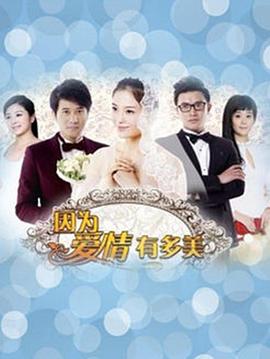 因为爱情有多美DVD第12集